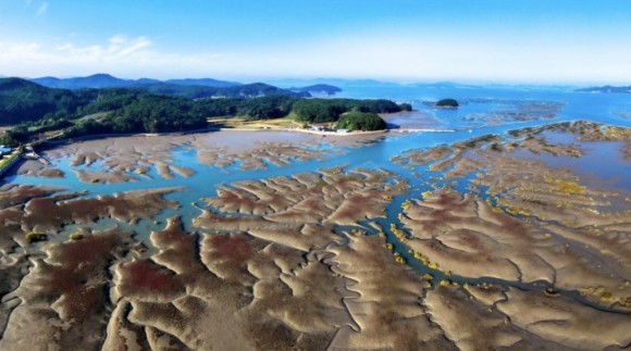 충남 가로림만, 국내 1호 국가해양생태공원으로 지정