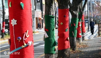 알록달록 뜨개옷 입은 가로수