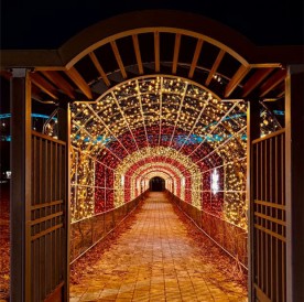 불 밝힌 세종 합강캠핑장, 겨울 명소로 뜬다