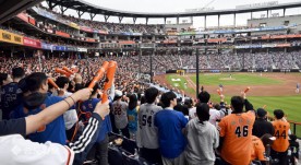 [2025 대전·세종·충청 10대 뉴스] `대전 프로스포츠 전성시대`…한화이글스, 대전하나시티즌 정규 시즌 준우승 성과