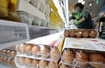 대전 계란 한판 8000원 육박... 주부·자영업자 모두 근심