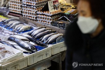 국민생선 고등어 보기 어려워지나... 자영업·주부 모두 근심