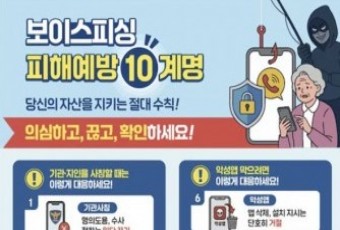 6년간 명절 보이스피싱 4만건 넘었다… "악성앱 설치 시 피해 시작돼"