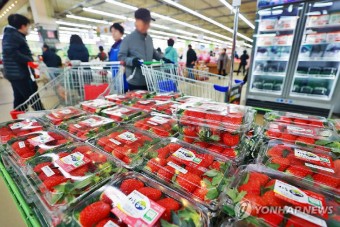 "겨울철 대표 과일 딸기와 감귤 가격이 왜이래"... 두드러진 가격 인상폭