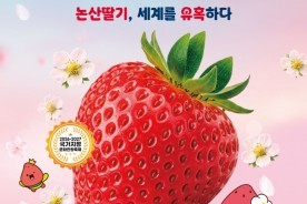 논산딸기, ‘K-컬처’ 넘어 세계로…논산딸기축제 3월 26일 개막
