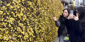 ‘봄이 왔어요’