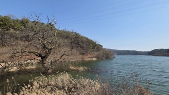 `벚꽃 명소` 고복저수지서 힐링~ 귀여운 동물들과 교감도
