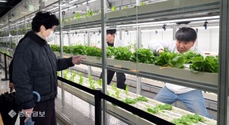 도심 유휴공간, ‘스마트팜으로 대변신’