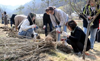 대전 도심을 푸르게