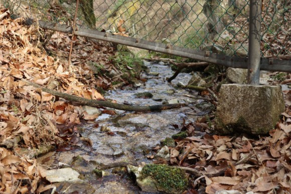 월평정수장 주변 샘솟는 용출수 현상 4곳…"원인 정밀조사 필요"