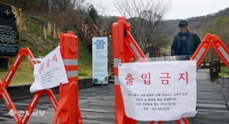 탈출한 늑대 목격된 보문산 일대 ‘출입금지’