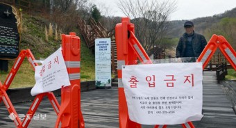 `늑구` 탈출 장기화… 포획 원칙에 폐사 가능성 열고 수색 확대