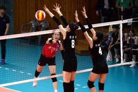 제천, 전국 배구 무대 중심으로…7일간 스포츠 열기 확산