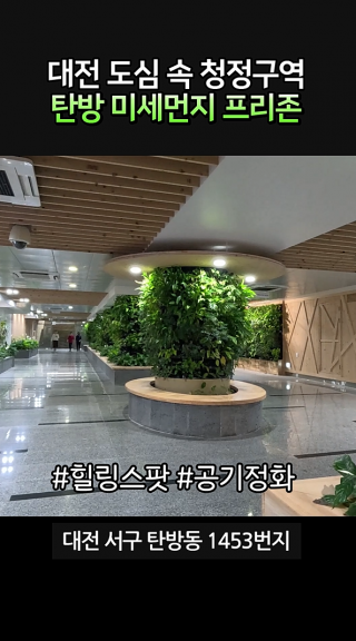 도심 한복판에서 숲속 공기 마시는 방법