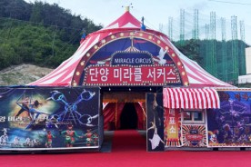 단양에 상설 서커스 공연장 개장…`미라클 서커스` 관광객 발길 이어져