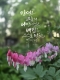 [아침을 여는 명언 캘리] 2026년 5월18일 월요일