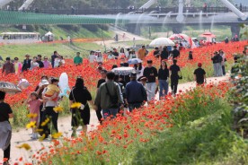 더 화려하고 더 매워진 `괴산 빨간맛 페스티벌` 22일 개막