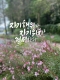 [아침을 여는 명언 캘리] 2026년 7월1일 수요일
