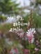 [아침을 여는 명언 캘리] 2026년 7월15일 수요일