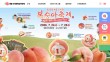 세종 '조치원 복숭아' 축제… 2026년 관전 포인트는