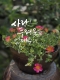[아침을 여는 명언 캘리] 2026년 7월24일 금요일