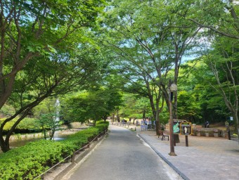 폭염 피해 숲과 계곡으로…음성군 여름 힐링 명소 3선 `눈길`