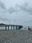 해파리로 친환경 고성능 카본 소재 만든다…  올 상반...