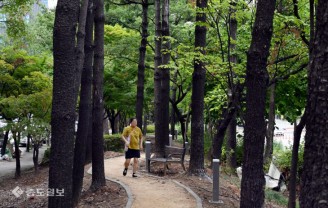 ‘더위야 가라’…도심 속 숲길 걸으며 休