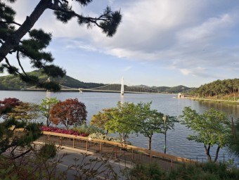 [논산다문화] 논산시, 탑정호의 밤, 빛과 음악으로 물들다