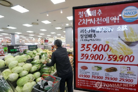 김장 앞두고 배춧값 내렸지만… 농가도 소비자도 웃지 못한다