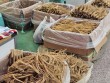 금산 인삼류 제조기업 홍삼제품 생산 개점 휴업