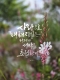 [아침을 여는 명언 캘리] 2026년 10월 29일 목요일