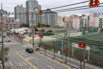 국방부, 대전 문화동 부지 `전면 매각` 추진…터전 잃을 위기 화훼단지
